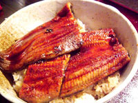 福岡 魚がし うなぎ丼